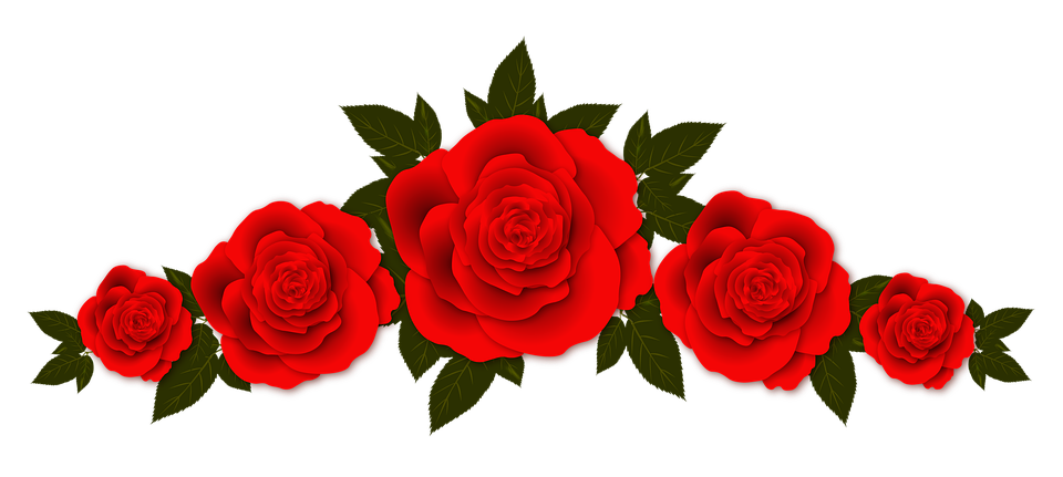 8000 Free Red Roses U0026 Rose Images Pixabay Kanneer Anjali Poster Model Flower Png Red Rose Png Free Transparent Png Image Pngaaa Com